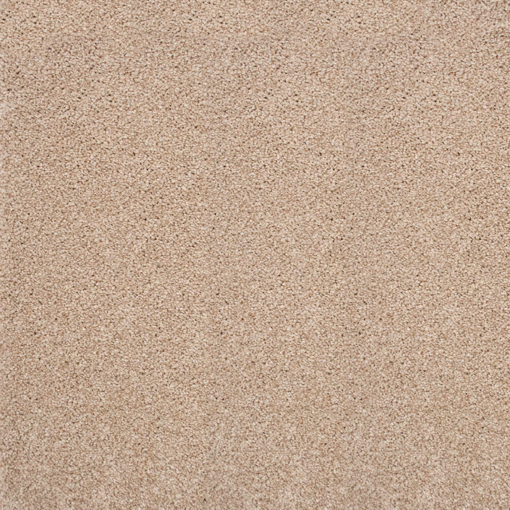 Stainaway Ultra Carpet - Image 5
