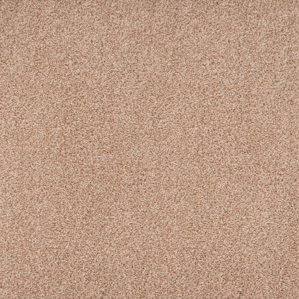 Stainaway Ultra Carpet - Image 6