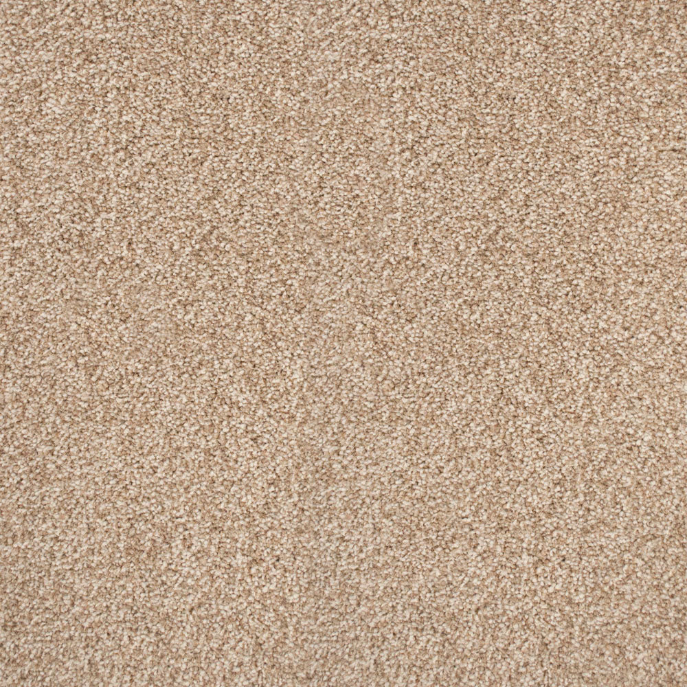 Stainaway Ultra Carpet - Image 7