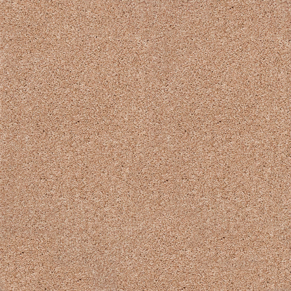 Stainaway Ultra Carpet - Image 8