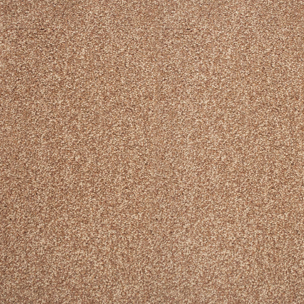 Stainaway Ultra Carpet - Image 9