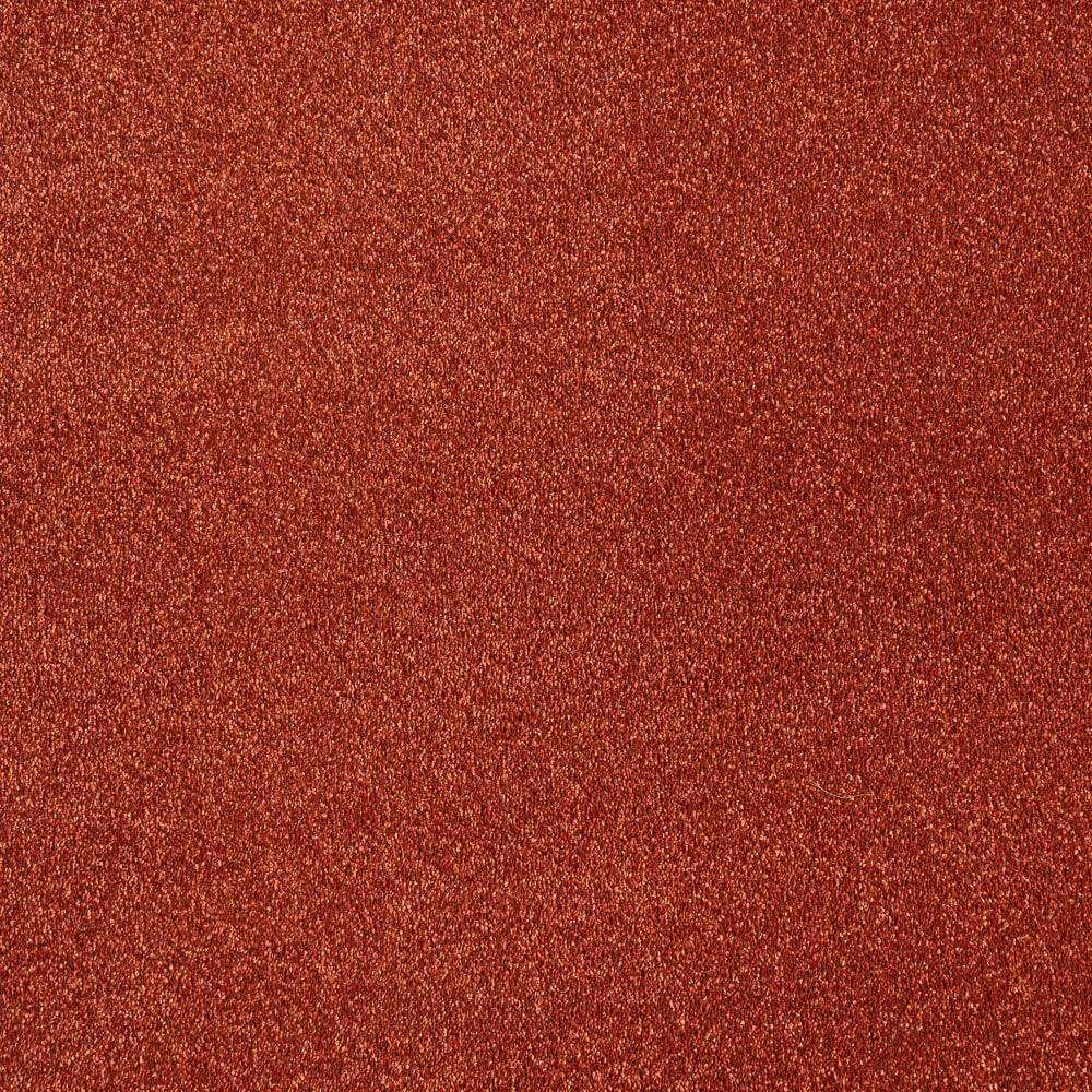 Stainfree Caress Carpet by Abingdon - Image 10