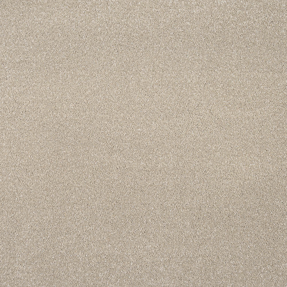 Stainfree Caress Carpet by Abingdon - Image 11