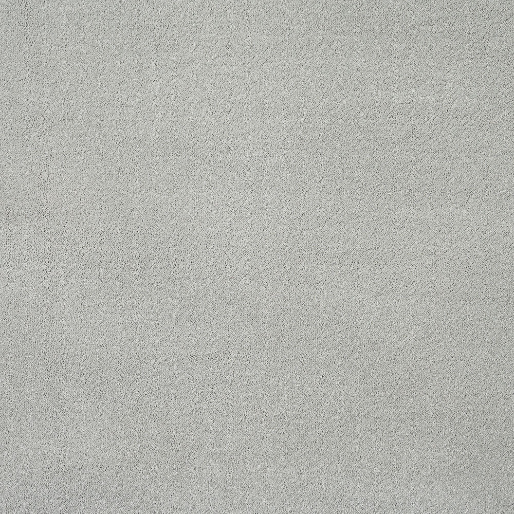 Stainfree Caress Carpet by Abingdon - Image 17