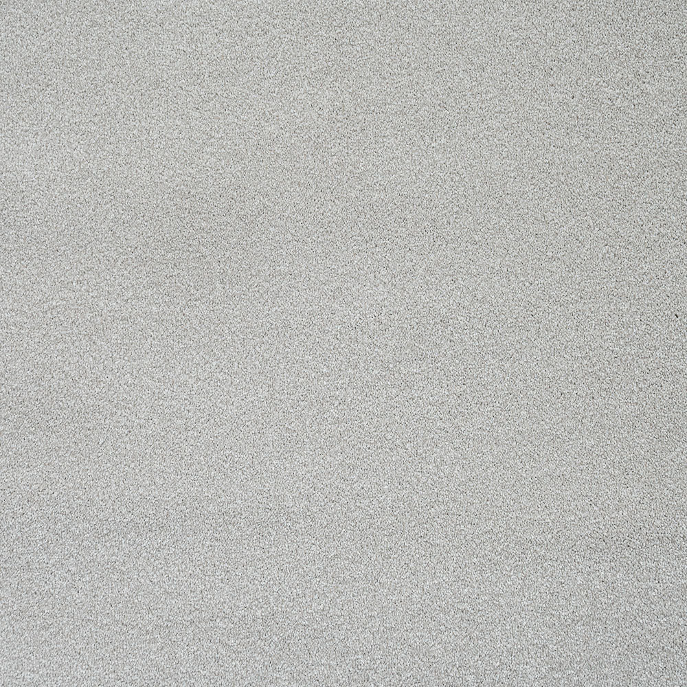 Stainfree Caress Carpet by Abingdon - Image 19