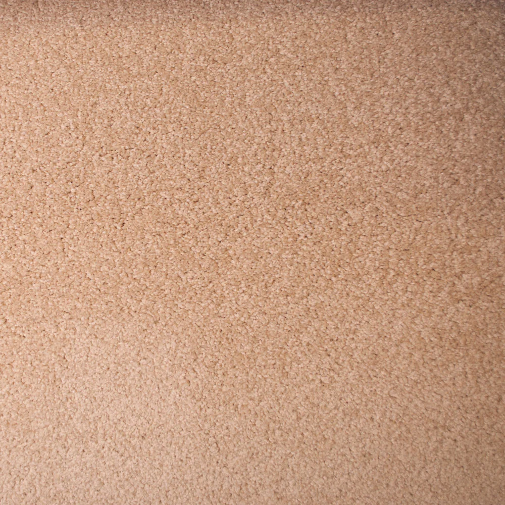 Stainfree Countess Carpet - Image 10