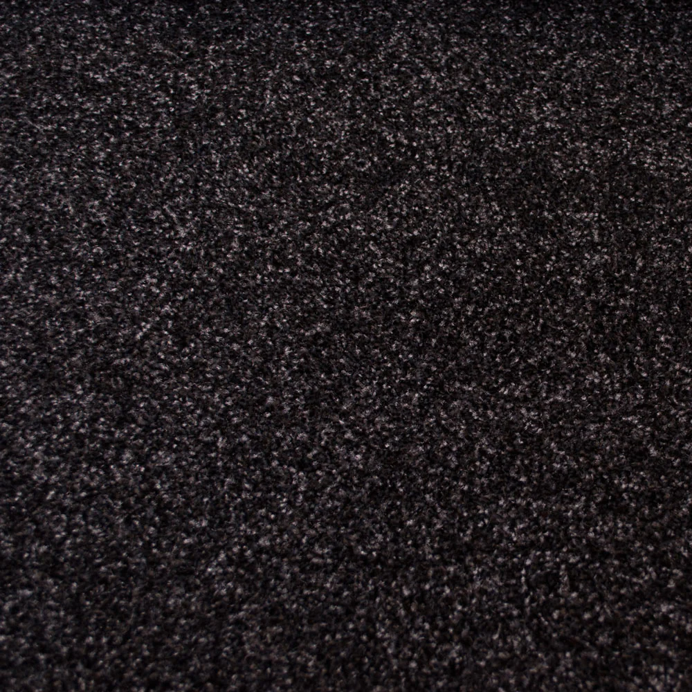 Stainfree Countess Carpet - Image 4