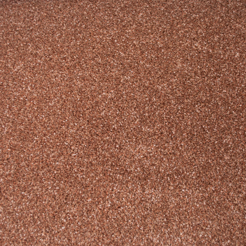 Stainfree Countess Carpet - Image 6