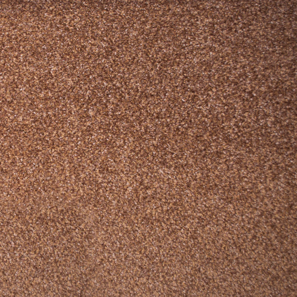 Stainfree Countess Carpet - Image 7