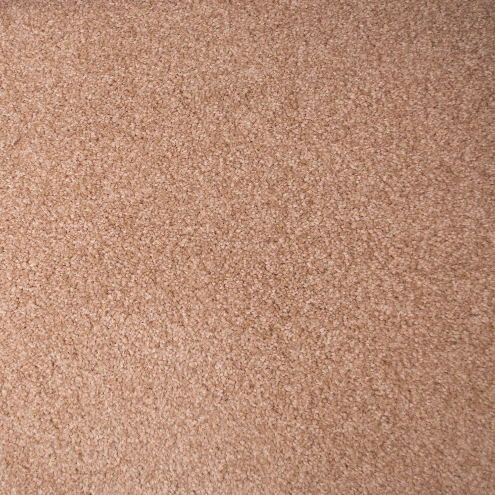 Stainfree Countess Carpet - Image 8