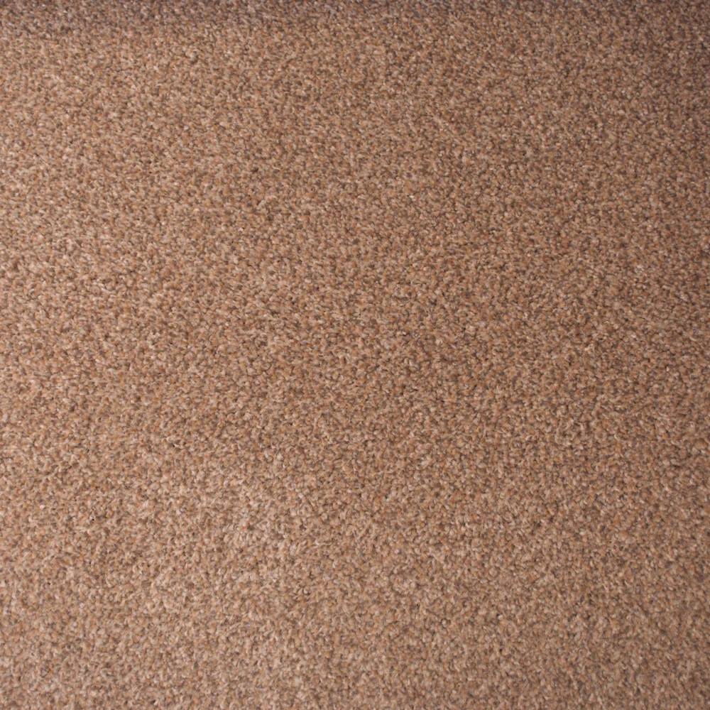 Stainfree Countess Carpet - Image 9