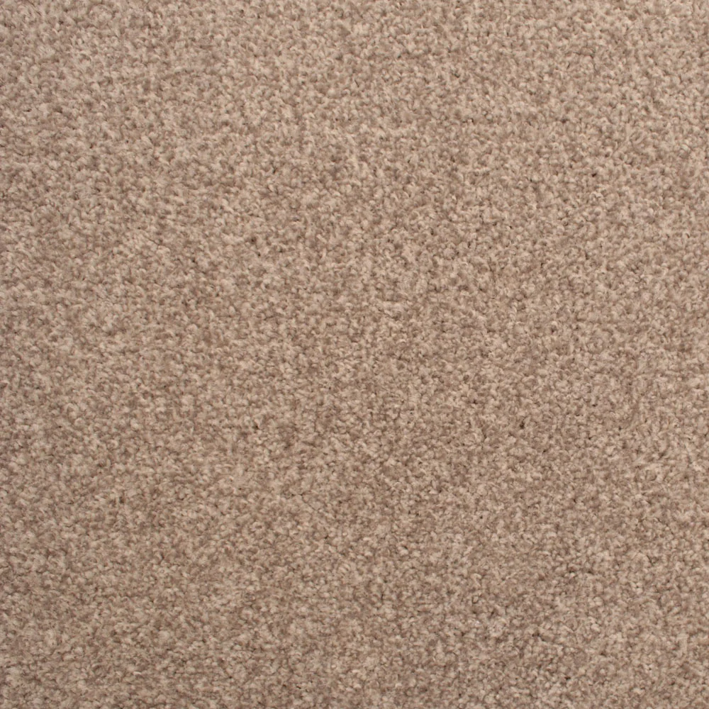 Stainfree Decor Twist Carpet - Image 11