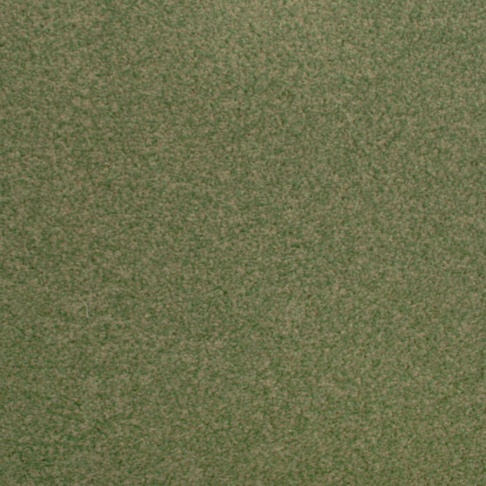 Stainfree Decor Twist Carpet - Image 12