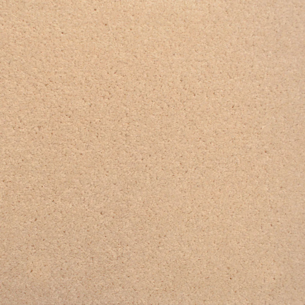 Stainfree Decor Twist Carpet - Image 13