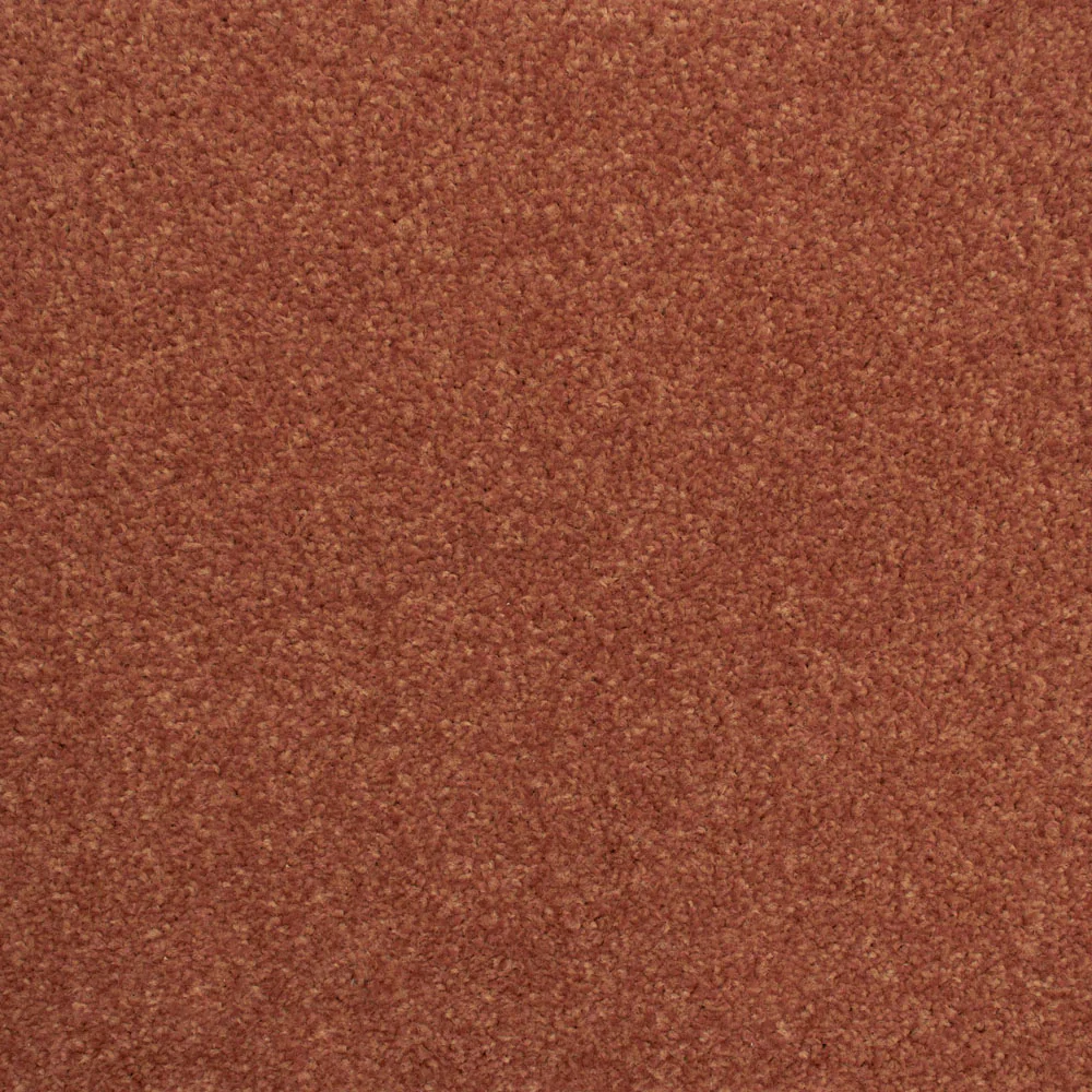 Stainfree Decor Twist Carpet - Image 16