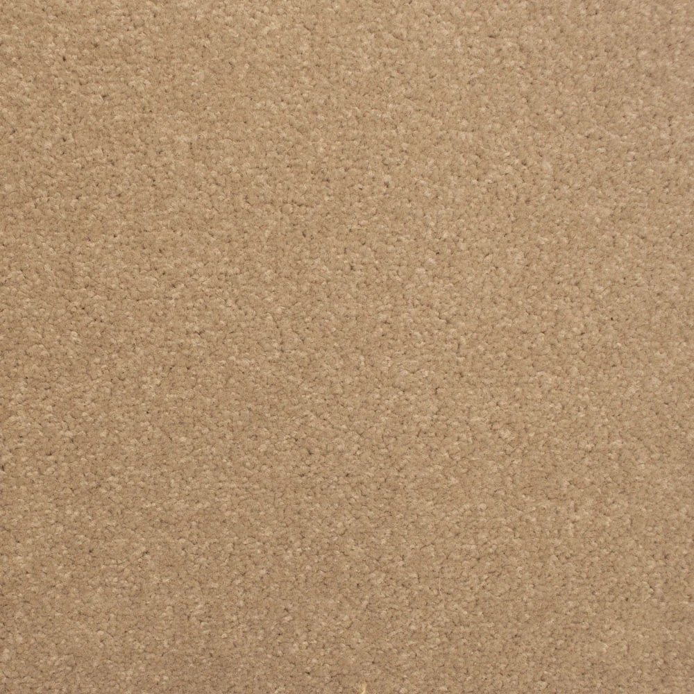 Stainfree Decor Twist Carpet - Image 17
