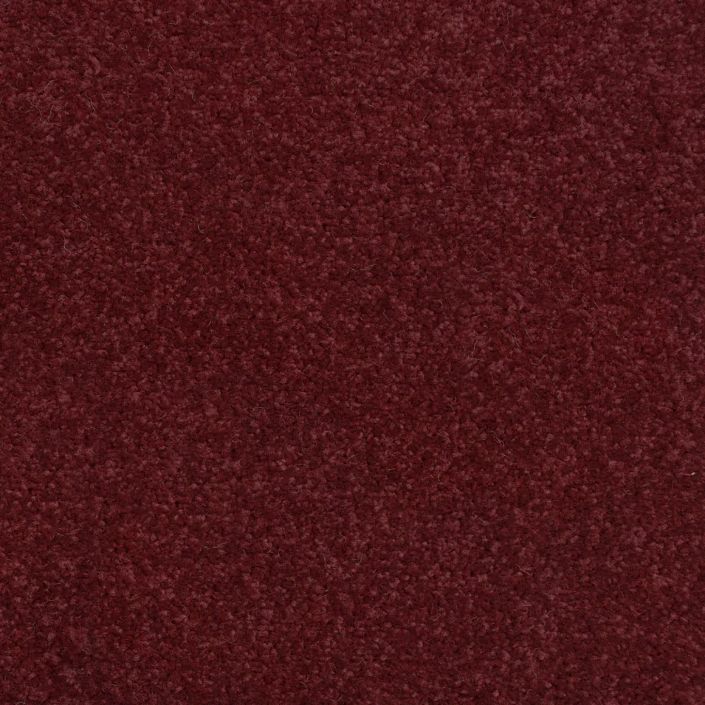 Stainfree Decor Twist Carpet - Image 18