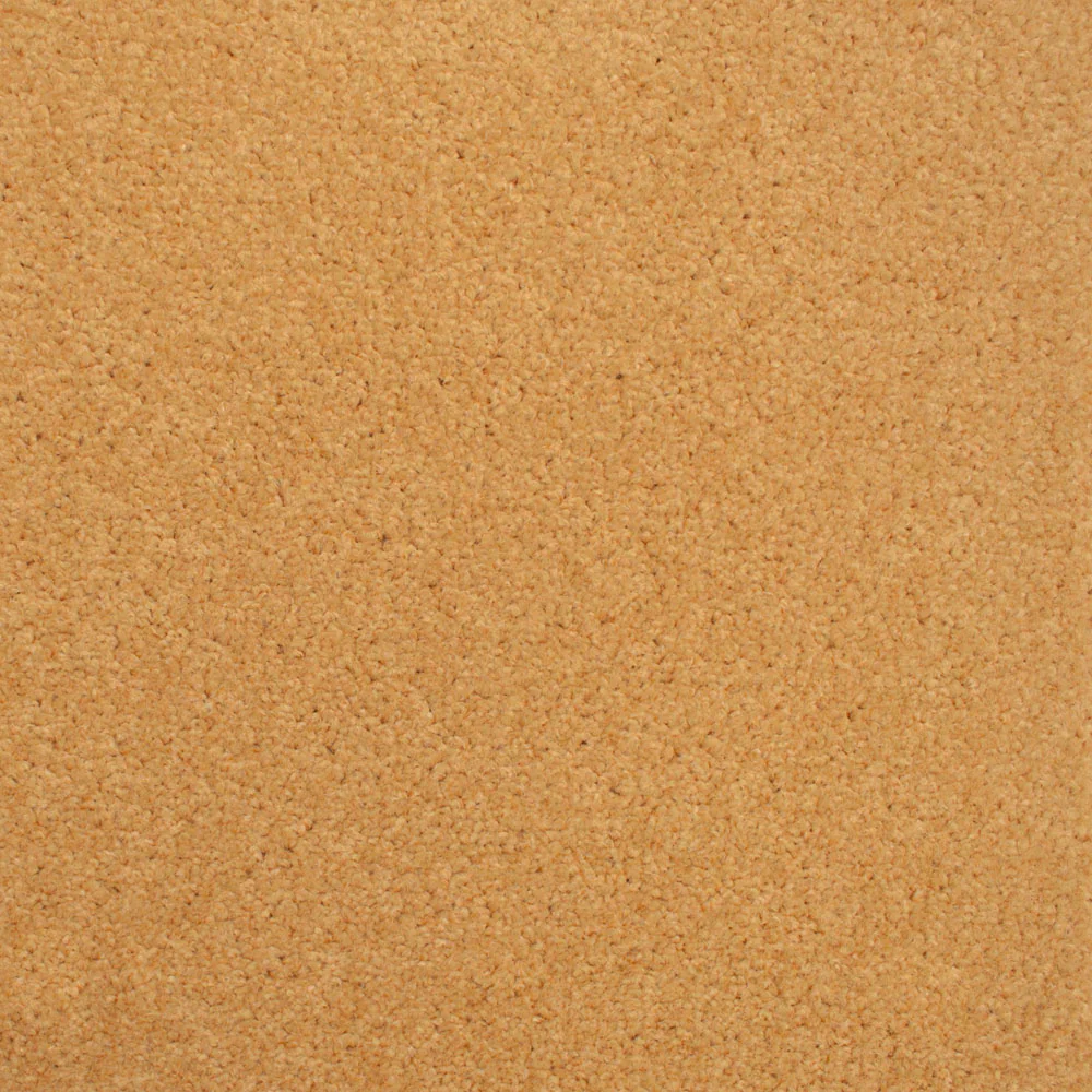 Stainfree Decor Twist Carpet - Image 19