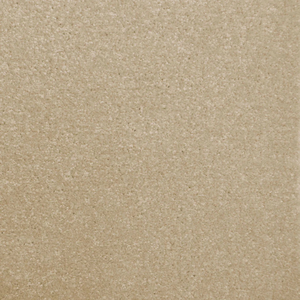 Stainfree Decor Twist Carpet - Image 20