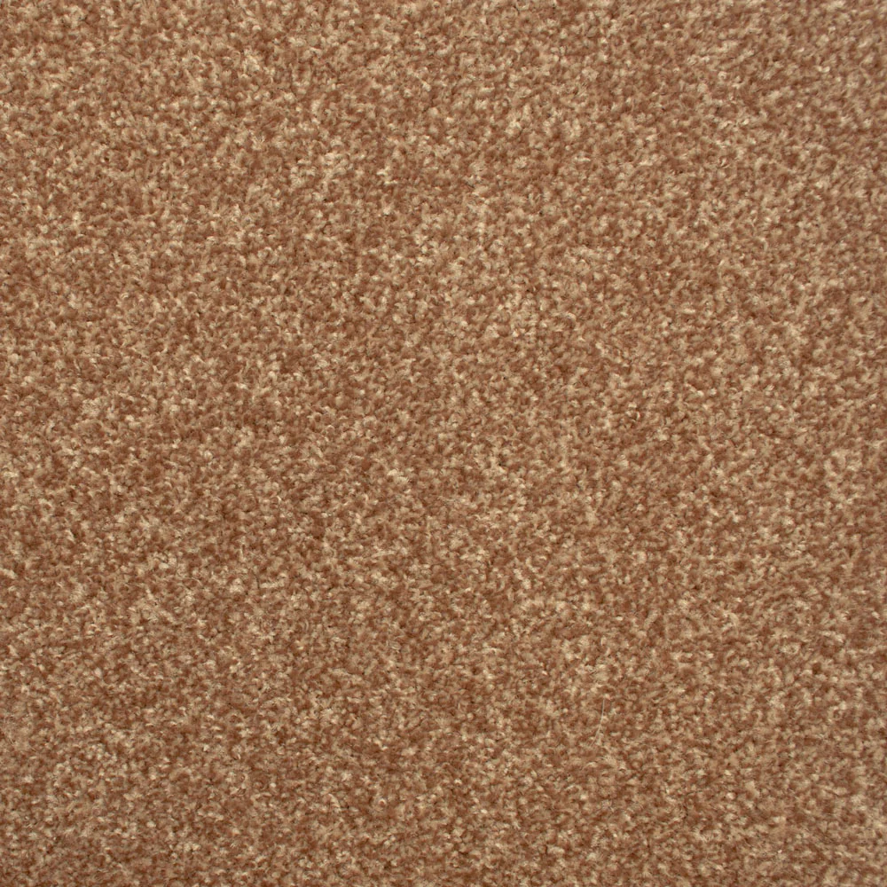 Stainfree Decor Twist Carpet - Image 21