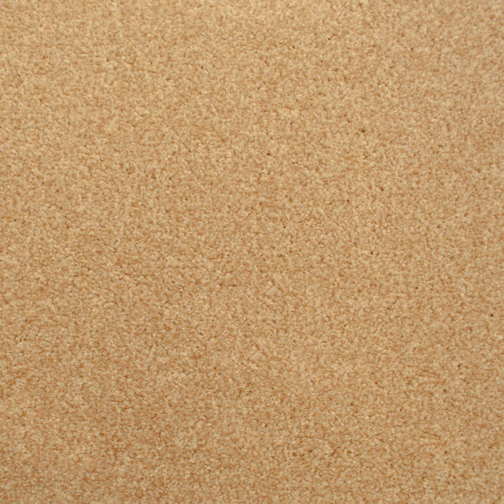 Stainfree Decor Twist Carpet - Image 3