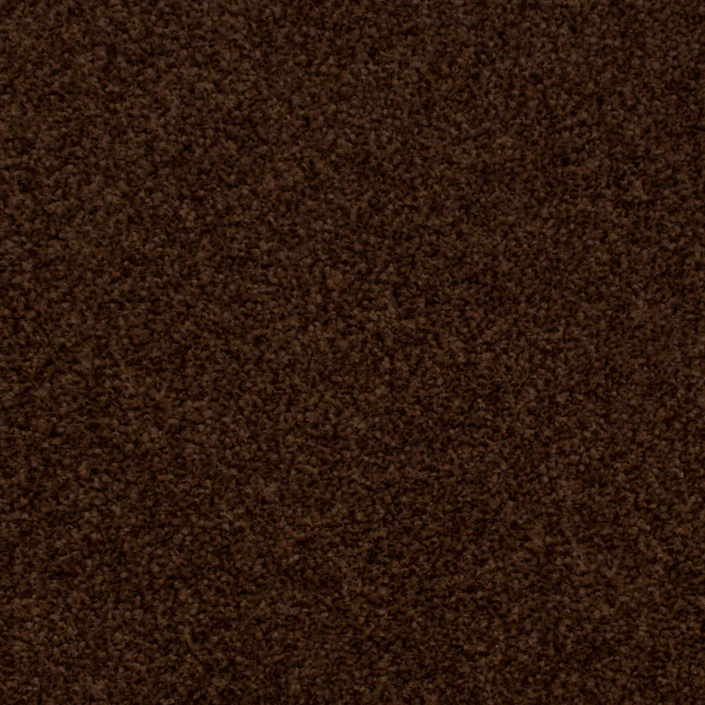 Stainfree Decor Twist Carpet - Image 4