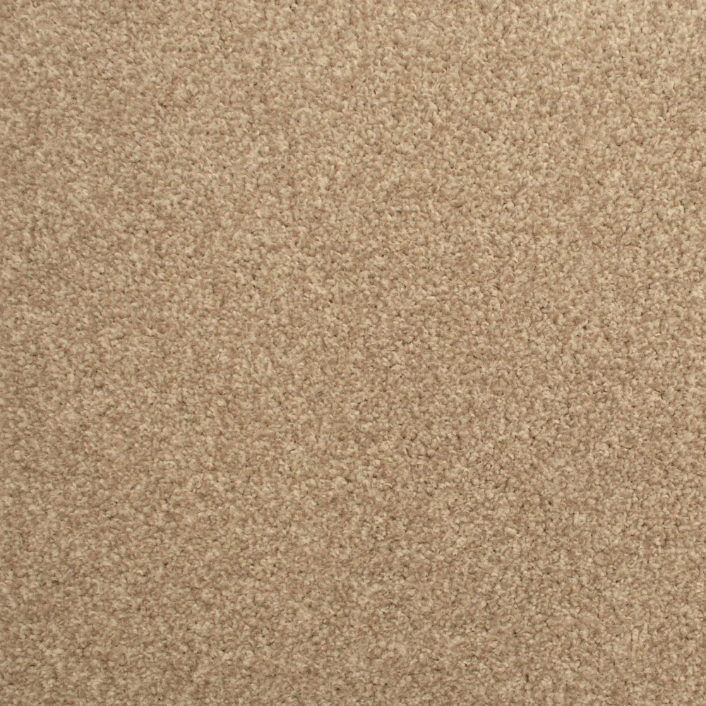 Stainfree Decor Twist Carpet - Image 7