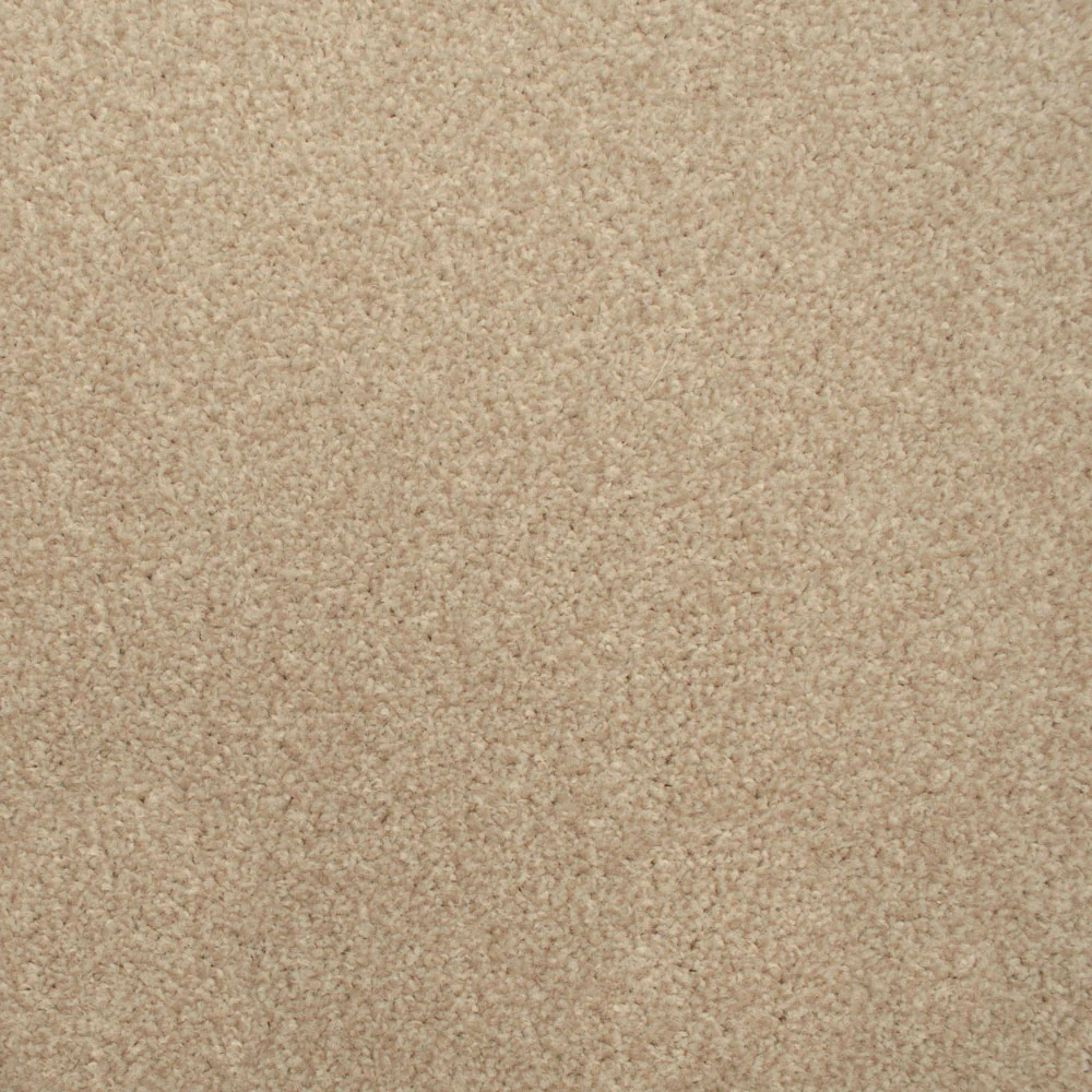Stainfree Decor Twist Carpet - Image 8