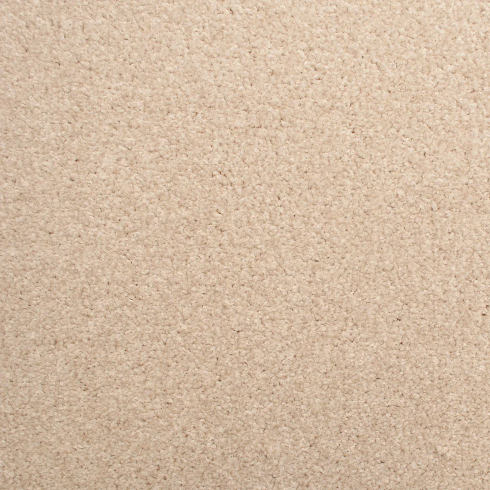Stainfree Decor Twist Carpet - Image 9