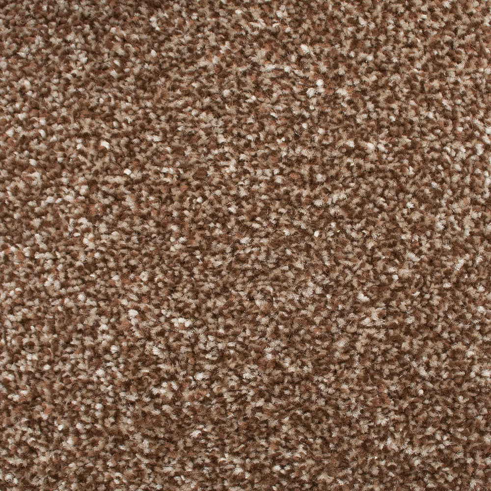 Stainfree Emperor Carpet - Image 13