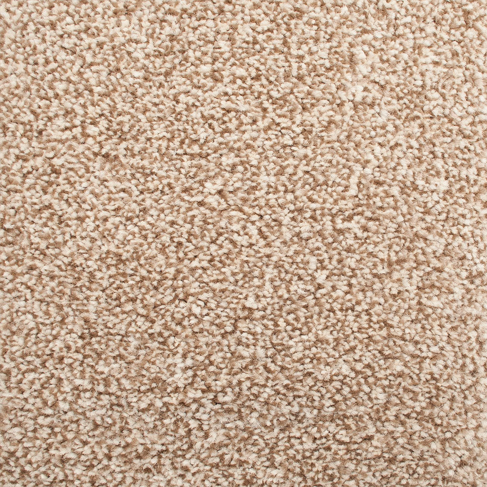 Stainfree Emperor Carpet - Image 3