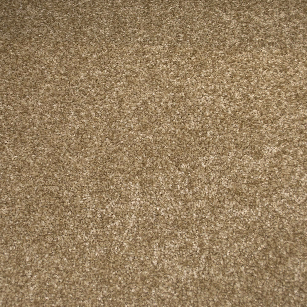 Stainfree Emperor Carpet - Image 5