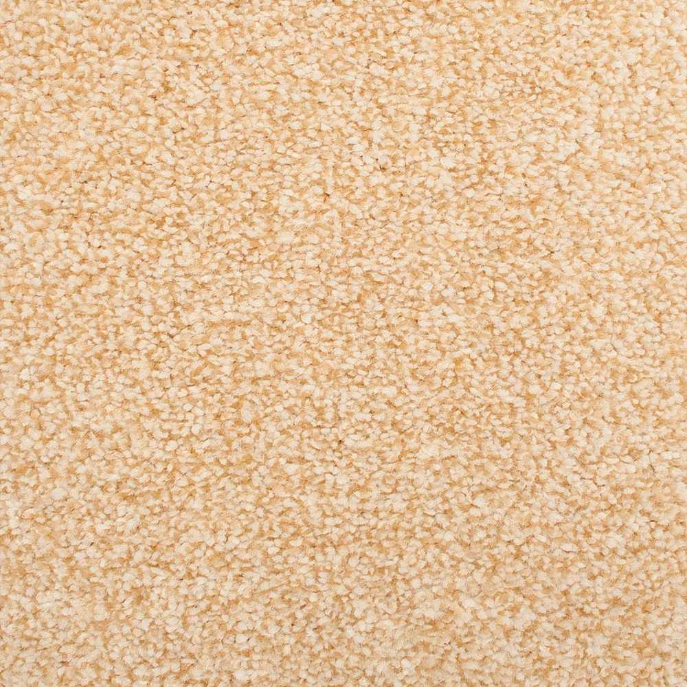 Stainfree Emperor Carpet - Image 7