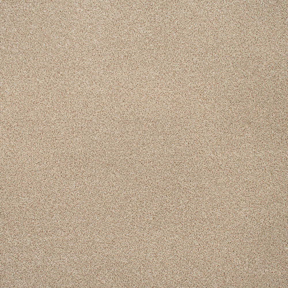 Stainfree Knightsbridge Berber Carpet by Abingdon - Image 9