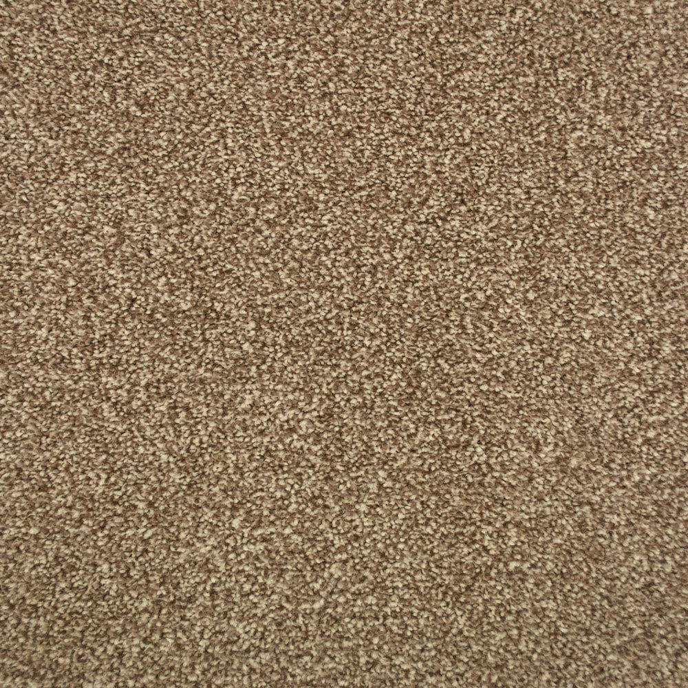 Stainfree Majesty Carpet - Image 4