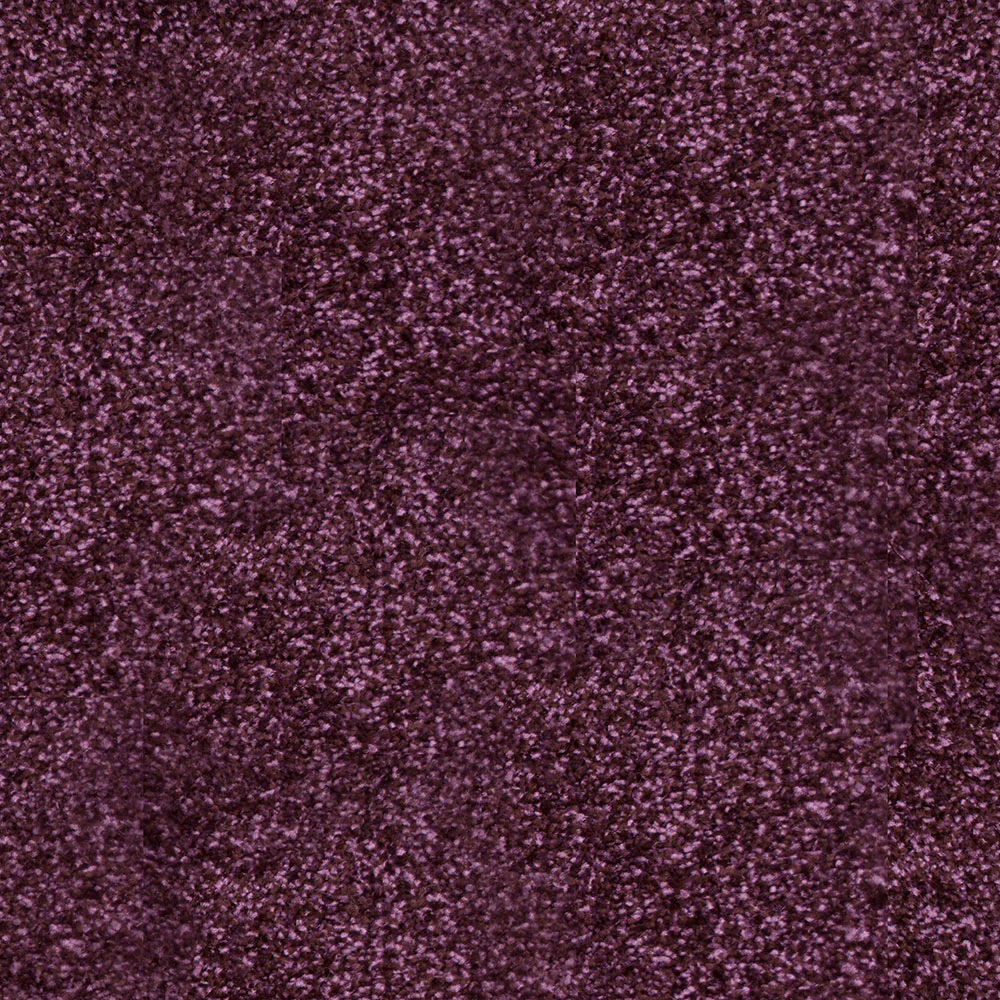 Stainfree Royale Carpet - Image 10