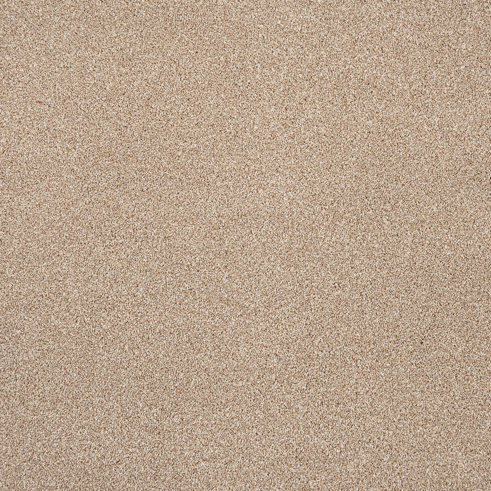 Stainfree Rustique Saxony Carpet by Abingdon - Image 6