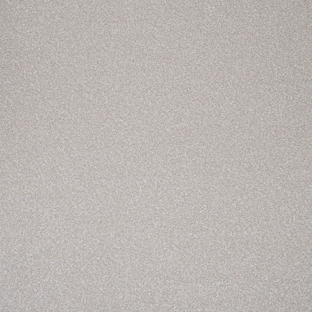 Stainfree Ultra Carpet by Abingdon - Image 15