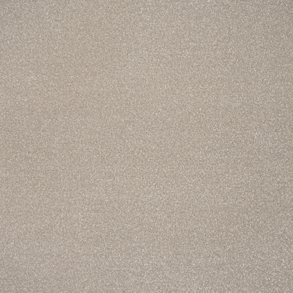 Stainfree Ultra Carpet by Abingdon - Image 5