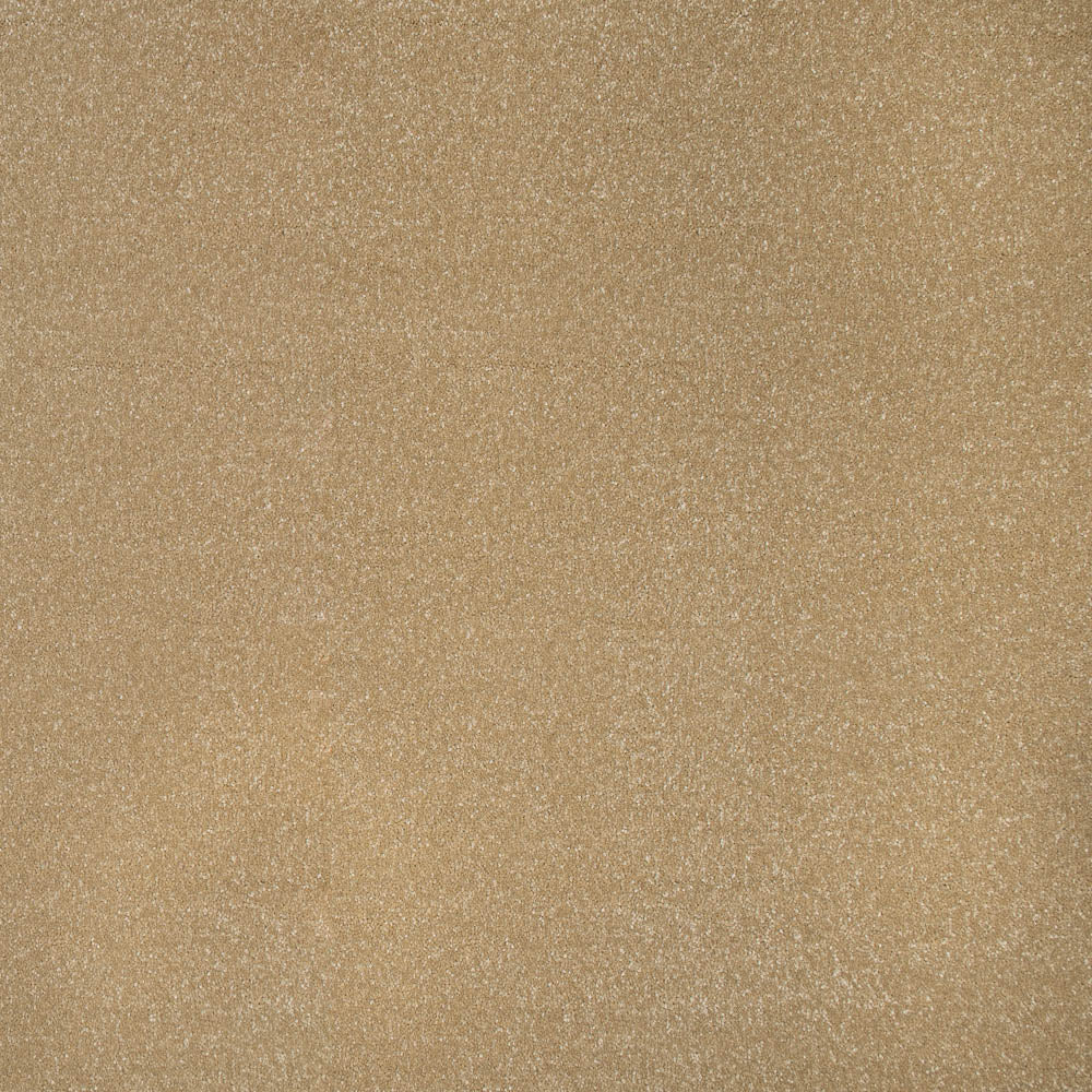 Stainfree Ultra Carpet by Abingdon - Image 8