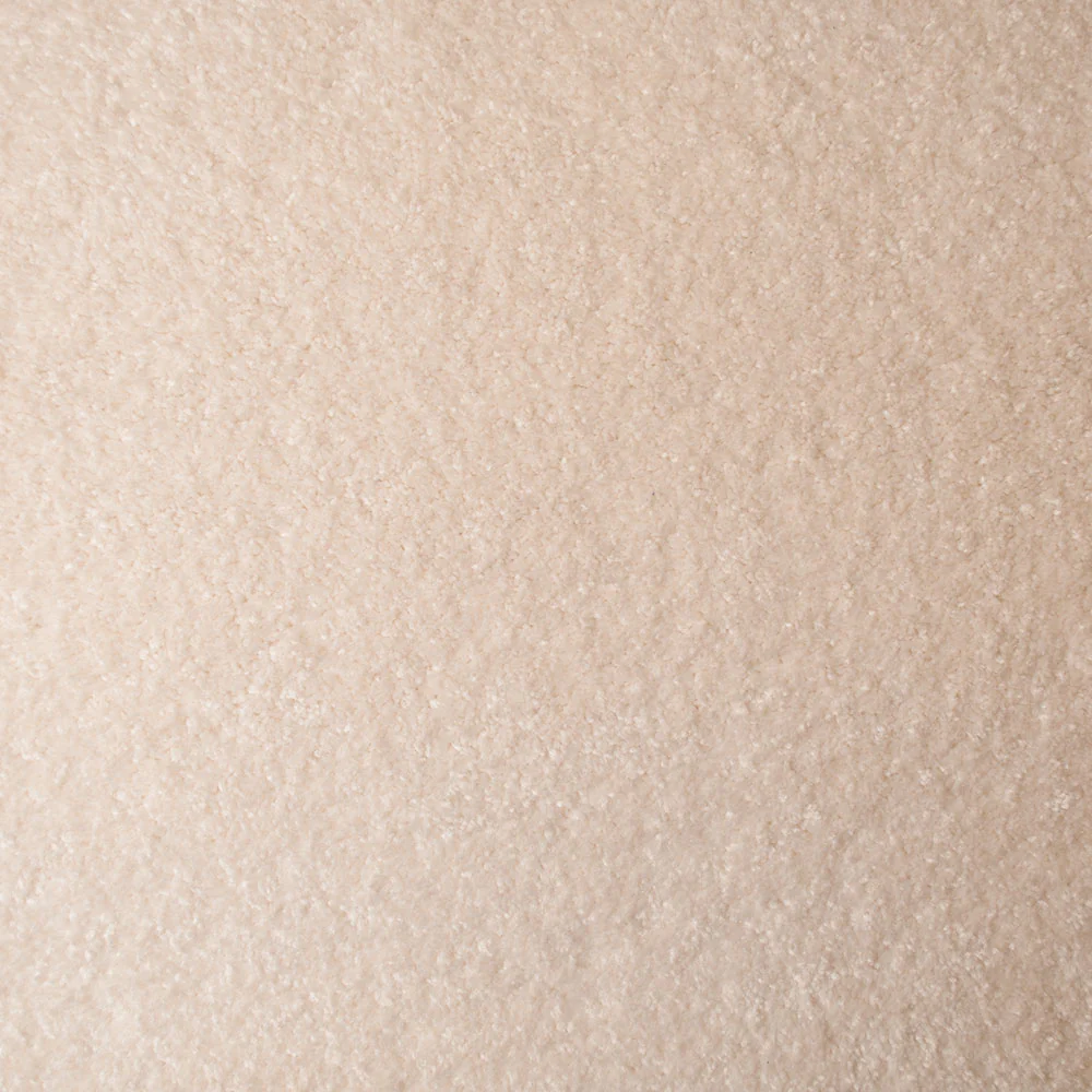 StainGuard Saxony Carpet - Image 2