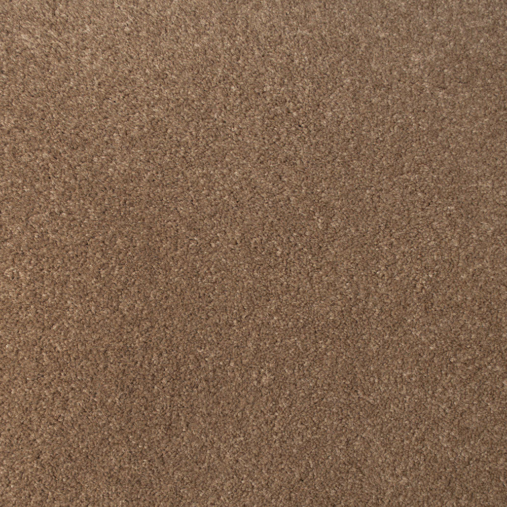StainGuard Saxony Carpet - Image 8
