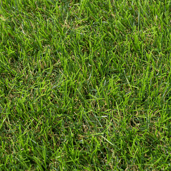 Stamford 40mm Artificial Grass - Image 7