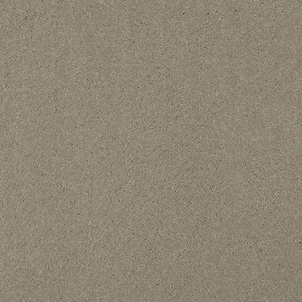 Stone 72 Ultimate Twist Intenza Carpet - Image 4