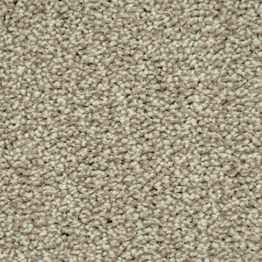 Stone Beige 72 Emotion Classic Intenza Carpet - Image 3