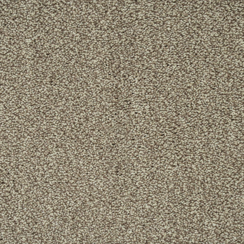 Stone Beige 72 Emotion Elite Intenza Carpet - Image 2