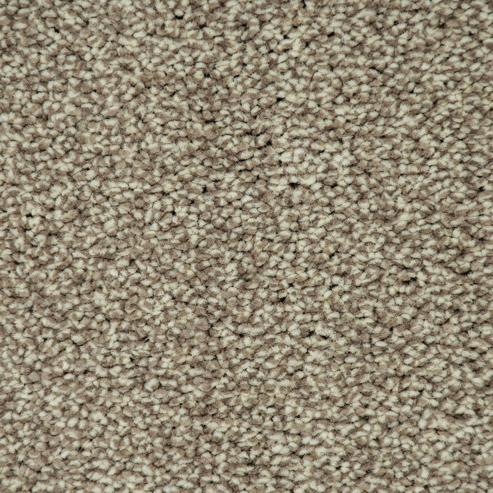 Stone Beige 72 Emotion Elite Intenza Carpet - Image 3