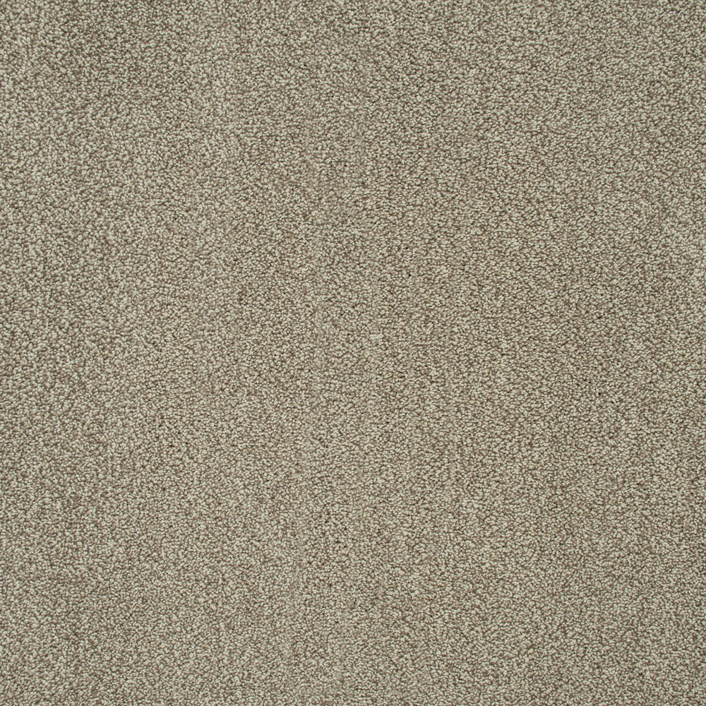 Stone Beige 72 Emotion Elite Intenza Carpet - Image 4