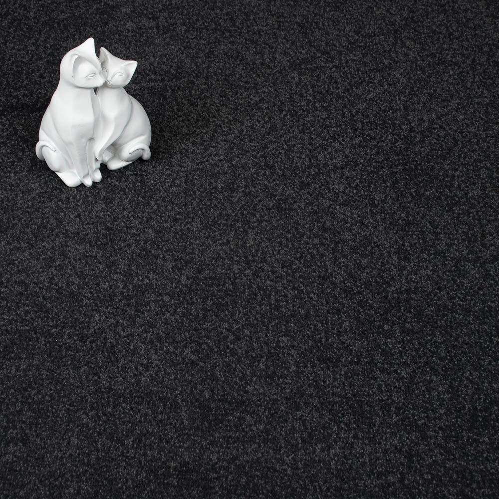 Storm Stainfree Ultra Carpet by Abingdon