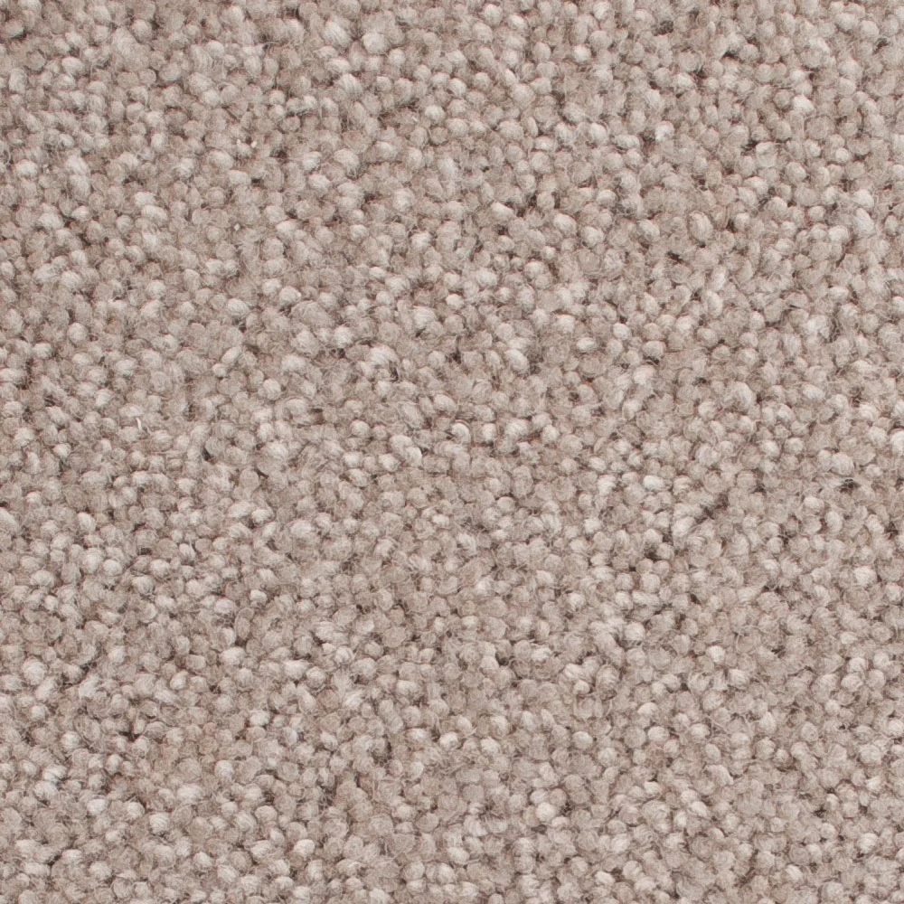 Stucco 50oz Home Counties Carpet by Cormar - Image 2